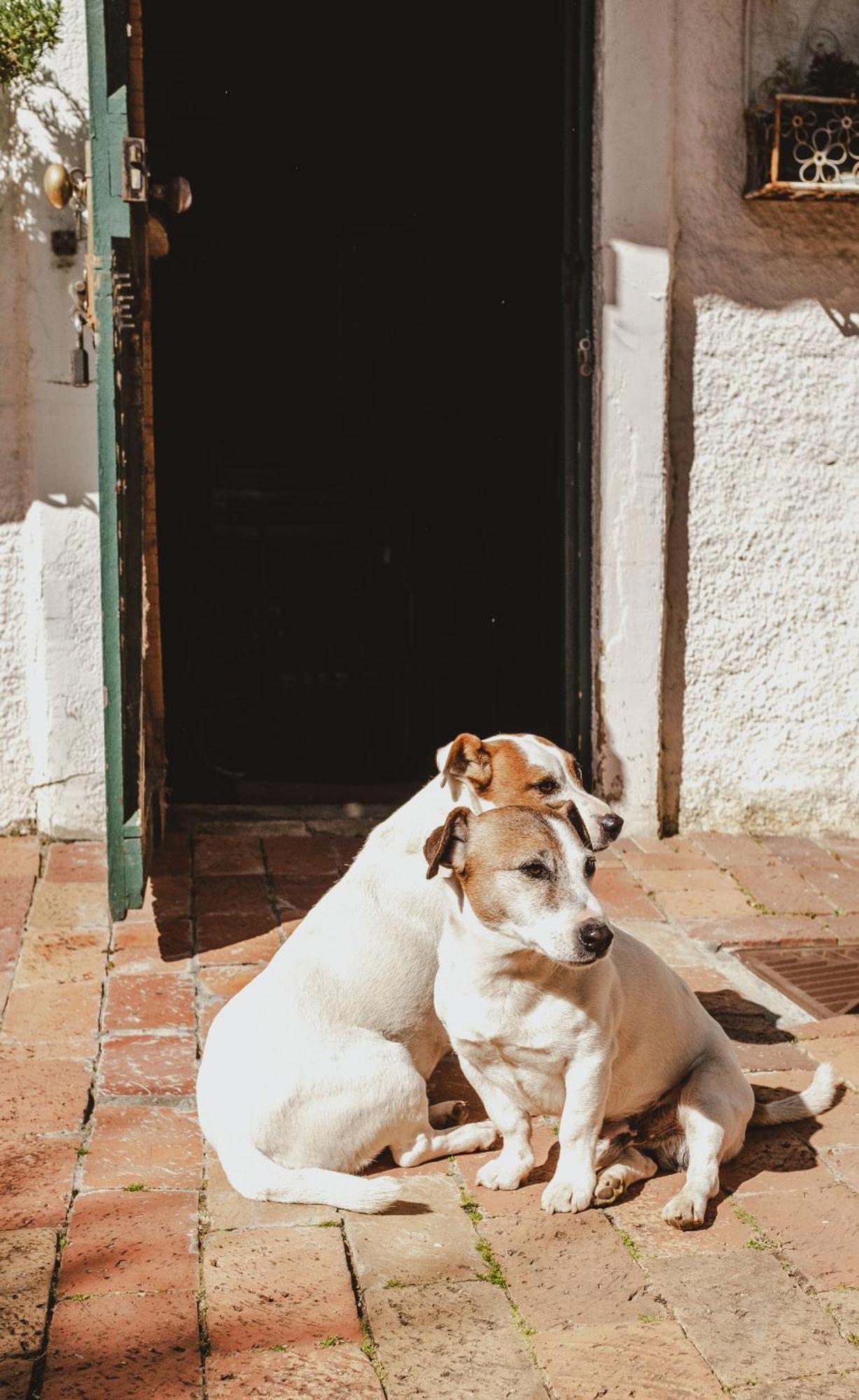 Brookwood Cottage Somerset West Bagian luar foto