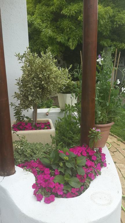 Brookwood Cottage Somerset West Bagian luar foto