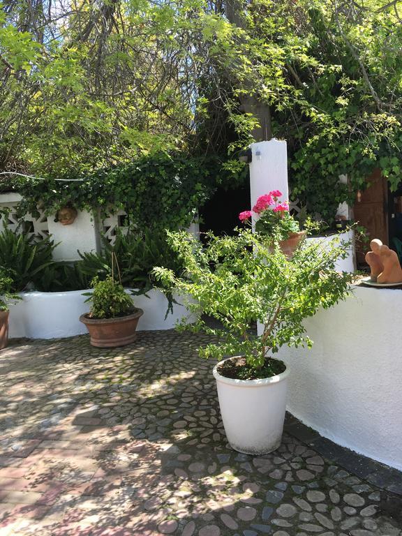 Brookwood Cottage Somerset West Bagian luar foto